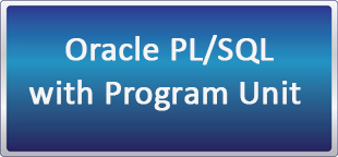 دوره حضوری/ آنلاین Oracle PL/SQL with Program Unit 